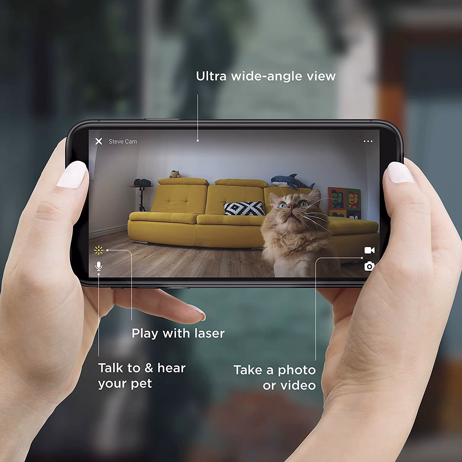 Wi-Fi Pet Camera with Laser